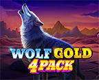 Wolf Gold 4 Pack World